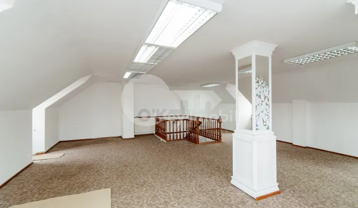 Oficiu, Centru, NICOLAE IORGA