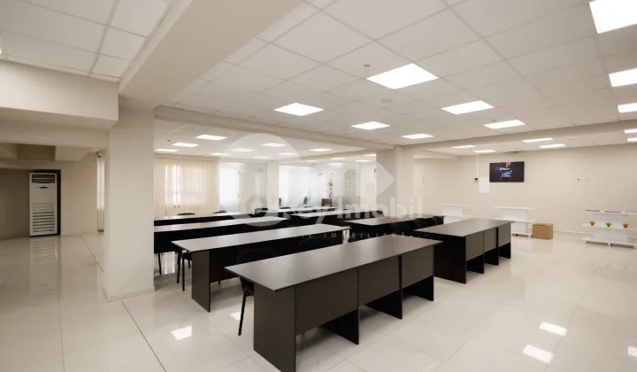 Oficiu, Botanica, DECEBAL