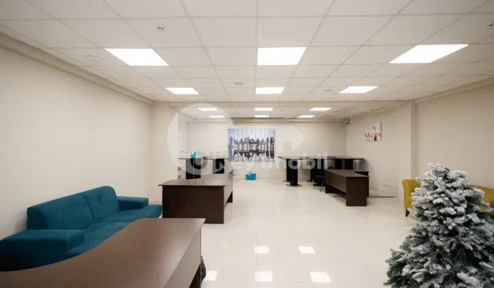 Oficiu, Botanica, DECEBAL