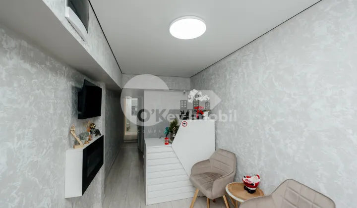 Spațiu comercial, Botanica, TEILOR