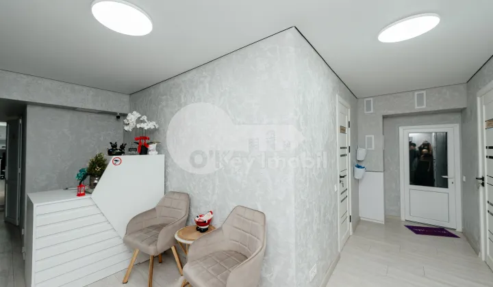 Spațiu comercial, Botanica, TEILOR