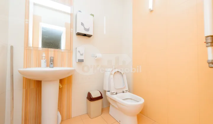 Spațiu comercial, Botanica, BUREBISTA