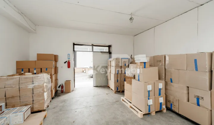 Depozit, Botanica, BUREBISTA