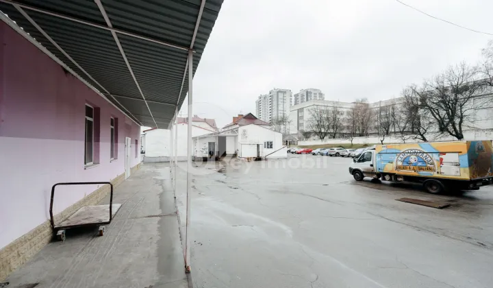 Depozit, Botanica, BUREBISTA