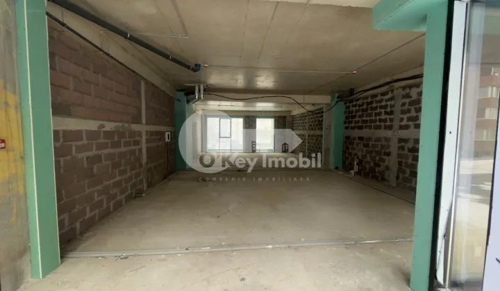 Spațiu comercial, Ciocana, ION DUMENIUC