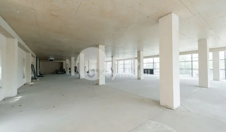 Spațiu comercial, Botanica, DACIA