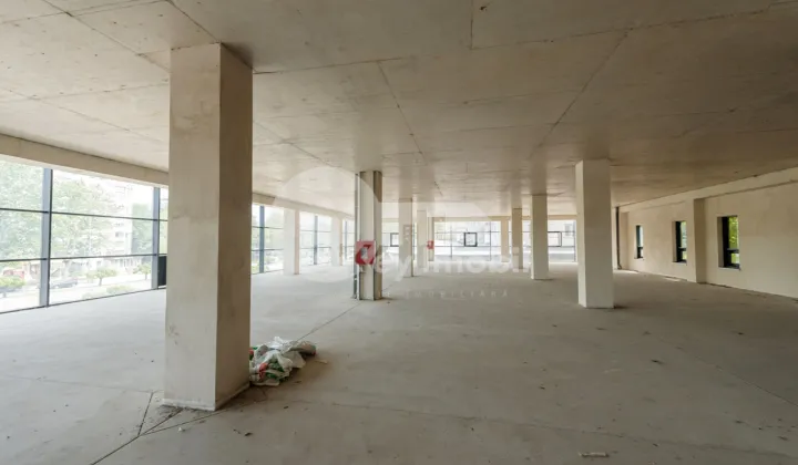 Spațiu comercial, Botanica, DACIA