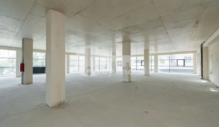 Spațiu comercial, Botanica, DACIA