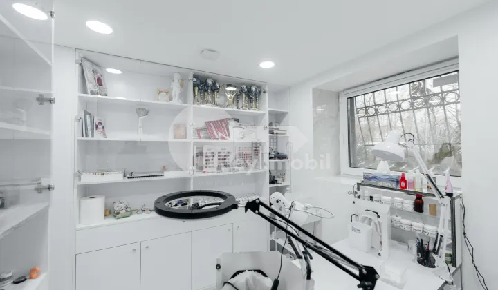 Spațiu comercial, Buiucani, ION PELIVAN