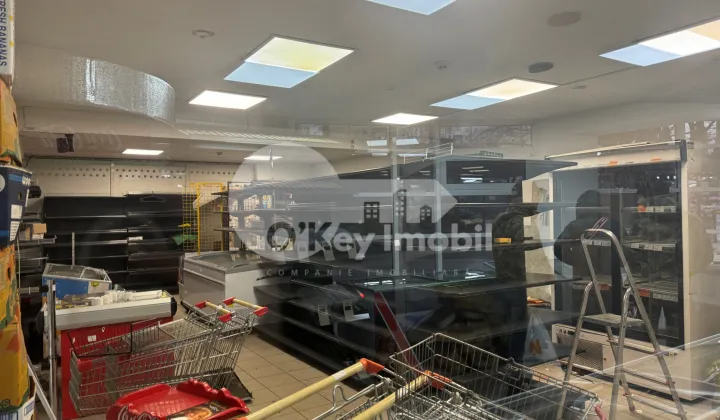 Spațiu comercial, Botanica, DACIA