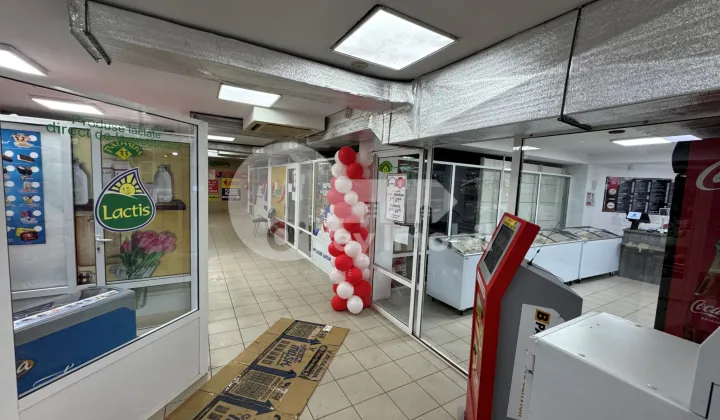 Spațiu comercial, Botanica, DACIA