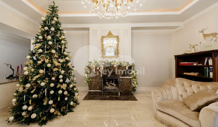 Spațiu comercial, TELECENTRU