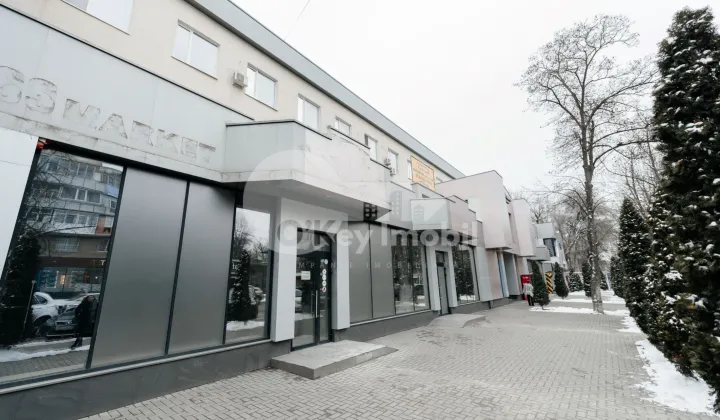 Spațiu comercial, Botanica, SARMIZEGETUSA