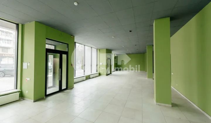 Spațiu comercial, Botanica, SARMIZEGETUSA