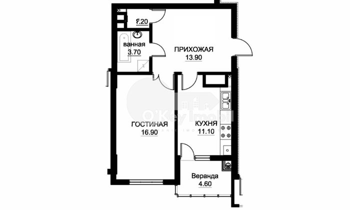 Apartament, Buiucani, VASILE LUPU
