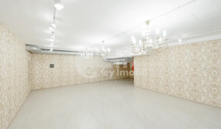 Spațiu comercial, Centru, NICOLAE TESTEMIȚANU