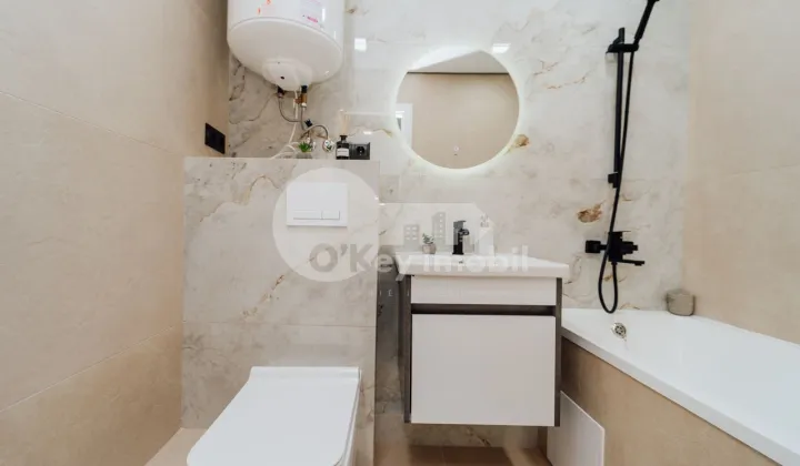 Apartament, Botanica, NIKOLAI ZELINSKI