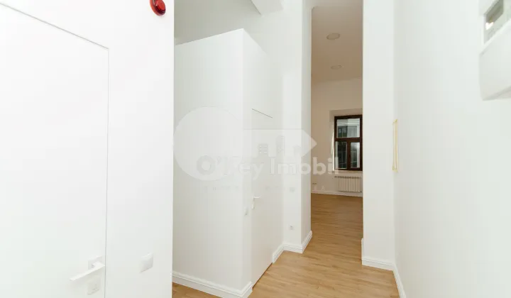 Spațiu comercial, Centru, VLAICU PÂRCĂLAB