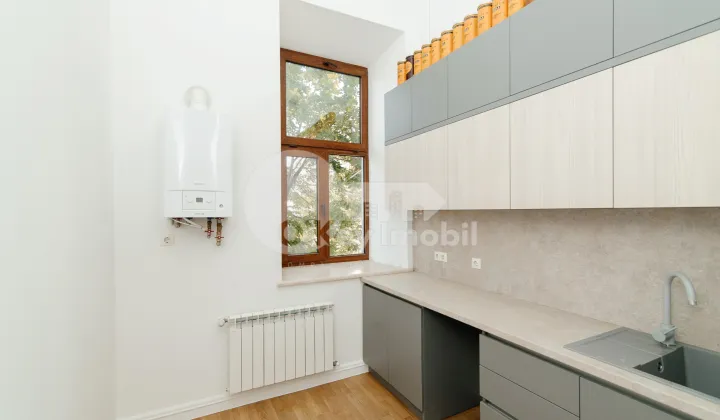 Spațiu comercial, Centru, VLAICU PÂRCĂLAB