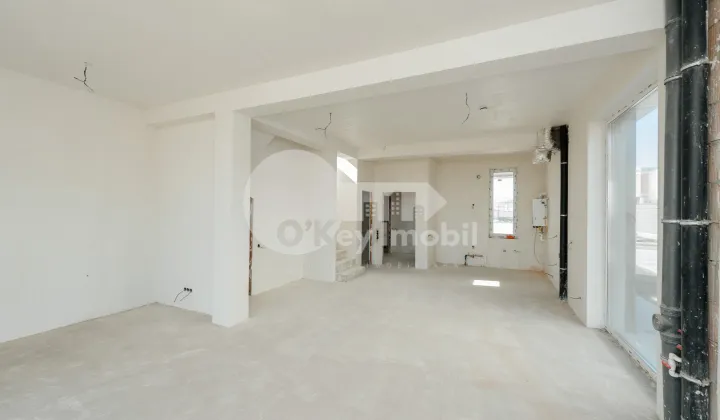 Casă, Botanica, DACIA