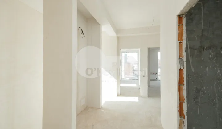 Casă, Botanica, DACIA