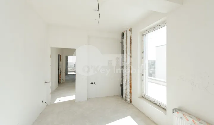 Casă, Botanica, DACIA