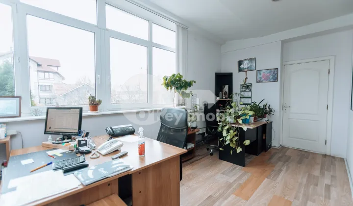 Oficiu, Botanica, BUREBISTA