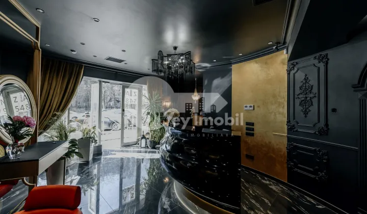 Spațiu comercial, Râșcani, NICOLAE DIMO