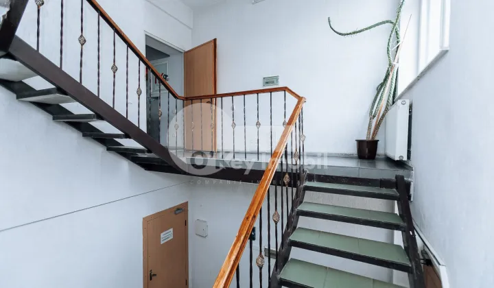 Oficiu, Botanica, BUREBISTA