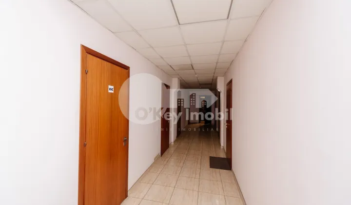 Oficiu, Centru, ȘTEFAN CEL MARE