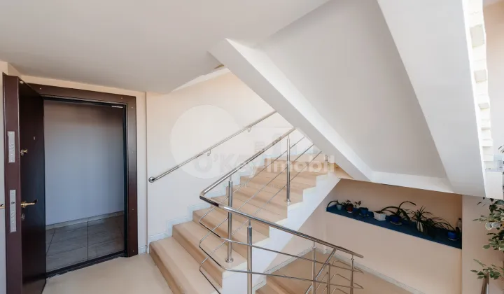 Oficiu, Centru, ȘTEFAN CEL MARE