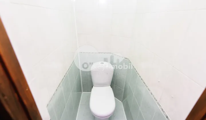 Oficiu, Centru, ALEXANDR PUȘKIN