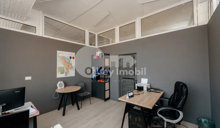 Oficiu, Botanica, CUZA VODĂ