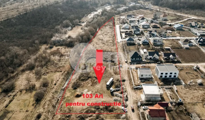 Teren, MĂGDĂCEȘTI