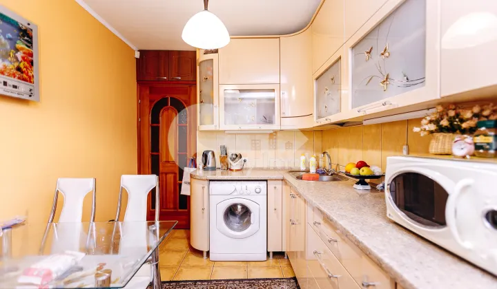 Apartament, Botanica, NIKOLAI ZELINSKI