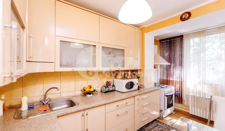 Apartament, Botanica, NIKOLAI ZELINSKI