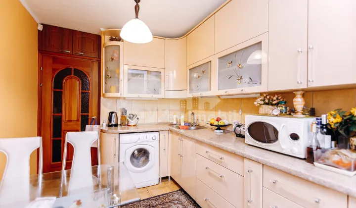 Apartament, Botanica, NIKOLAI ZELINSKI