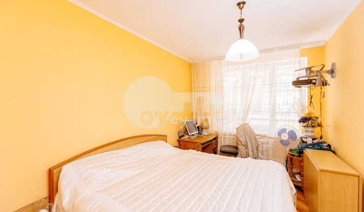 Apartament, Botanica, NIKOLAI ZELINSKI