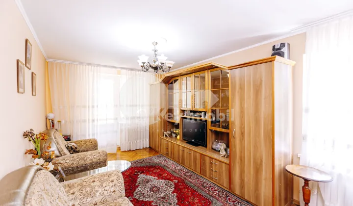 Apartament, Botanica, NIKOLAI ZELINSKI