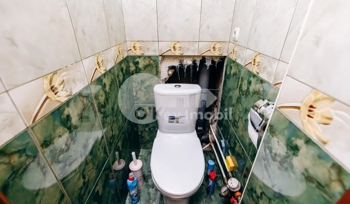 Apartament, Botanica, NIKOLAI ZELINSKI