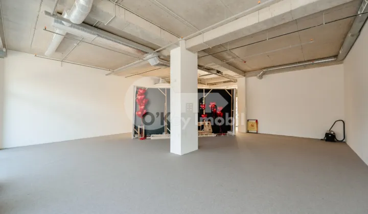 Spațiu comercial, Râșcani, GRIGORE VIERU