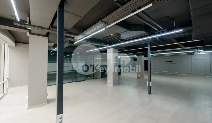 Oficiu, Centru, ALEXANDR PUȘKIN