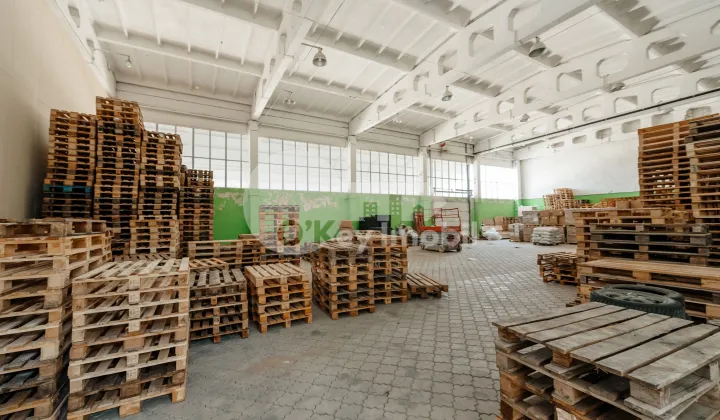 Depozit, Botanica, SALCÂMILOR