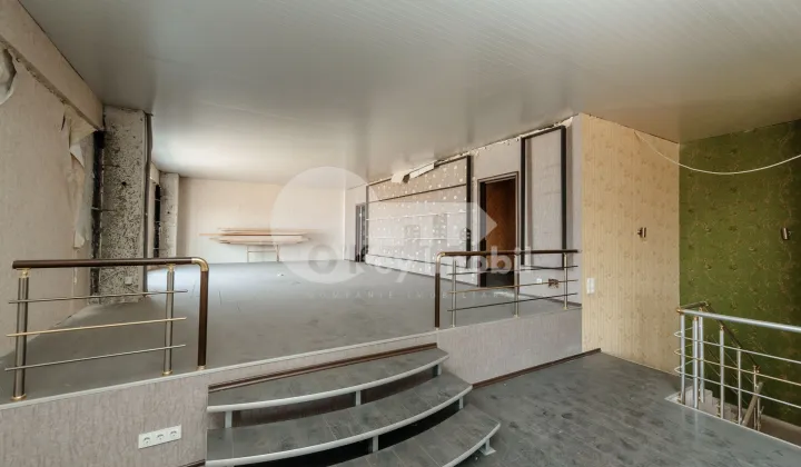 Oficiu, Botanica, SALCÂMILOR