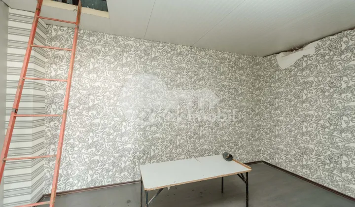 Oficiu, Botanica, SALCÂMILOR