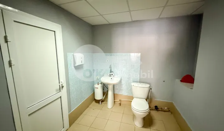 Oficiu, Centru, ALEXEI ȘCIUSEV