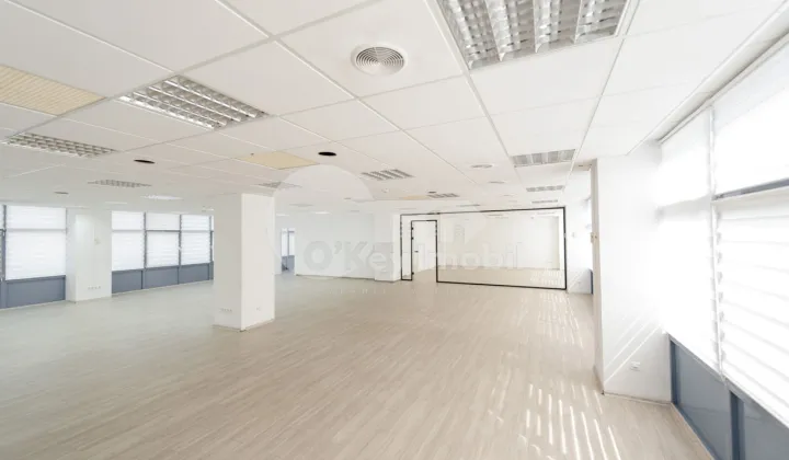 Oficiu, Centru, ȘTEFAN CEL MARE