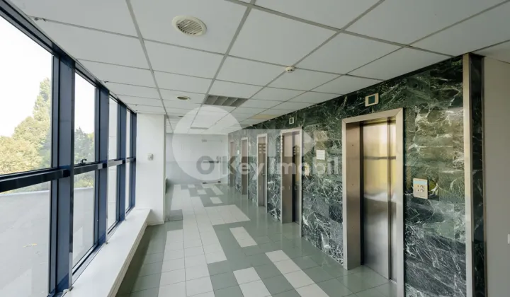 Oficiu, Centru, ȘTEFAN CEL MARE