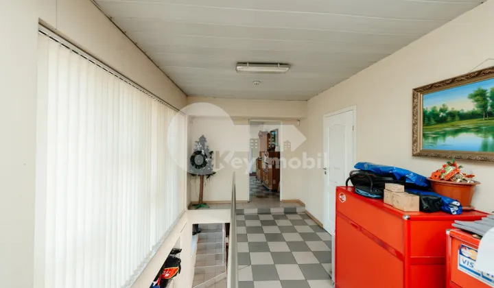 Spațiu comercial, Buiucani, LIVIU DELEANU