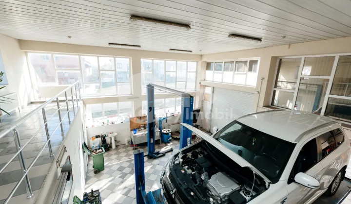 Spațiu comercial, Buiucani, LIVIU DELEANU